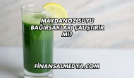 Maydanoz Suyu Bağırsakları Çalıştırır mı?