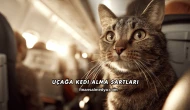 Uçağa Kedi Alma Şartları