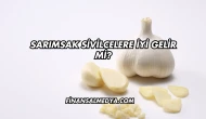 Sarımsak Sivilcelere İyi Gelir mi?