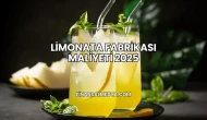 Limonata Fabrikası Maliyeti 2025