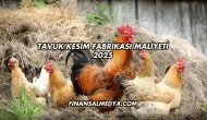 Tavuk Kesim Fabrikası Maliyeti 2025