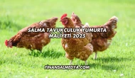Salma Tavukçuluk Yumurta Maliyeti 2025