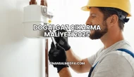 Doğalgaz Çıkarma Maliyeti 2025