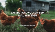 Salma Tavukçuluk Yem Maliyeti 2025