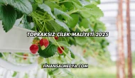 Topraksız Çilek Maliyeti 2025