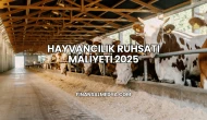 Hayvancılık Ruhsatı Maliyeti 2025