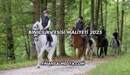 Binicilik Tesisi Maliyeti 2025