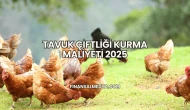 Tavuk Çiftliği Kurma Maliyeti 2025