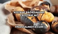 Kestane Bağırsakları Çalıştırır mı?