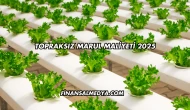 Topraksız Marul Maliyeti 2025