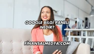 Google Bilgi Paneli Nedir?
