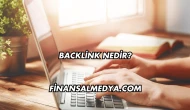 Backlink Nedir?