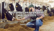 Büyükbaş Hayvan Ahırı Maliyeti 2025
