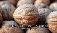 Ceviz Kürleri Gerçekten İşe Yarıyor mu?