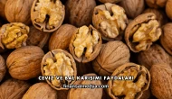 Ceviz ve Bal Karışımı Faydaları
