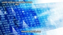 ÇATES Katılım Endeksine Uygun mu?