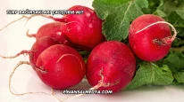 Turp Bağırsakları Çalıştırır mı?