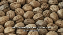 Ceviz Tüketmenin Bilimsel Faydaları