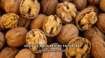 Ceviz ve Bal Karışımı Faydaları