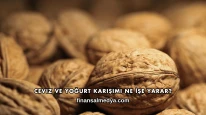 Ceviz ve Yoğurt Karışımı Ne İşe Yarar?