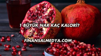 1 Büyük Nar Kaç Kalori?