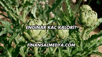 Enginar Kaç Kalori?