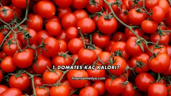 1 Domates Kaç Kalori?