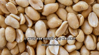 1 Avuç Yer Fıstığı Kaç Kalori?