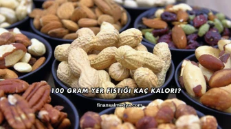 100 Gram Yer Fıstığı Kaç Kalori?