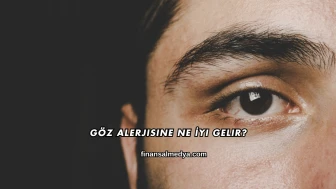 Göz Alerjisine Ne İyi Gelir?