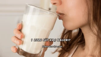 1 Litre Süt Kaç Kalori?