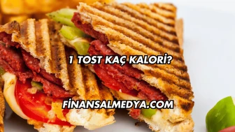1 Tost Kaç Kalori?