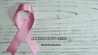 Kansere Ne İyi Gelir?