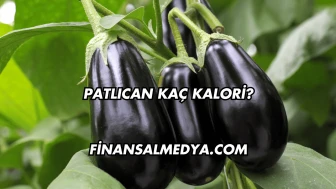 Patlıcan Kaç Kalori?