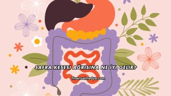 Safra Kesesi Ağrısına Ne İyi Gelir?