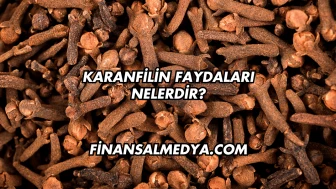 Karanfilin Faydaları Nelerdir?
