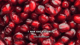 1 Nar Kaç Kalori?