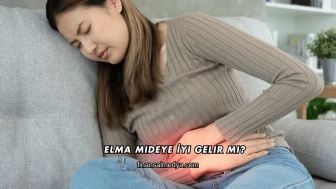 Elma Mideye İyi Gelir mi?