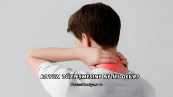 Boyun Düzleşmesine Ne İyi Gelir?
