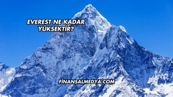 Everest Ne Kadar Yüksektir?