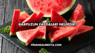 Karpuzun Faydaları Nelerdir?