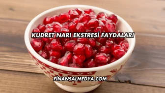 Kudret Narı Ekstresi Faydaları