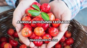 Aserola Meyvesinin Faydaları