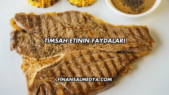 Timsah Etinin Faydaları