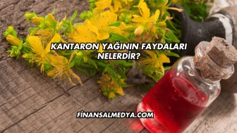 Kantaron Yağının Faydaları Nelerdir?