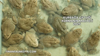 Kurbağa Çiftliği Kurmanın Maliyeti 2025