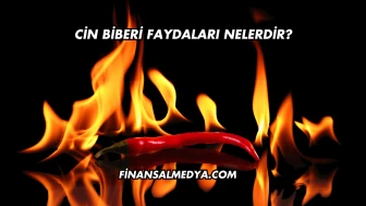 Cin Biberi Faydaları Nelerdir?