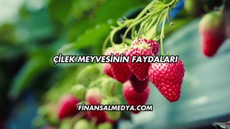 Çilek Meyvesinin Faydaları