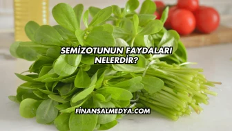 Semizotunun Faydaları Nelerdir?