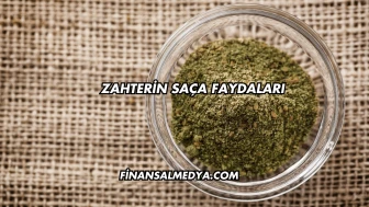 Zahterin Saça Faydaları